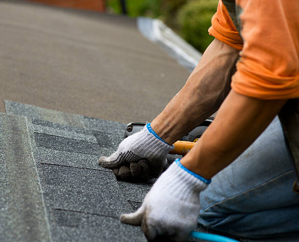 Quick and Trustworthy Emergency Roof Repair Services in Carbondale, IL